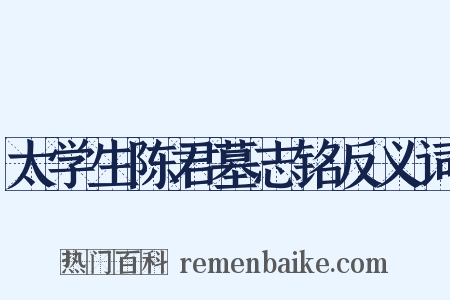 太学生陈君墓志铭反义词是什么意思的图片